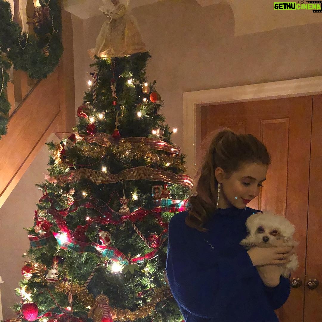 Eleanor Worthington-Cox Instagram - Merry Christmas from the Cox’s and Winnie, who’s too tired to pose after her Christmas dinner... #foodcoma