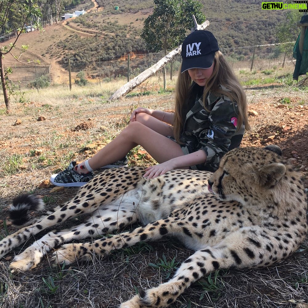 Eleanor Worthington-Cox Instagram - we went back to @cornellskopfarm and met Rocket the cheetah, he's so so beautifulšI also met a lamb that @briiiiiiiiiig helped me catch after I spent 20 minutes chasing it... #SAbs