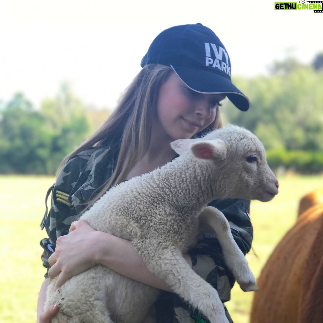 Eleanor Worthington-Cox Instagram - we went back to @cornellskopfarm and met Rocket the cheetah, he's so so beautifulšI also met a lamb that @briiiiiiiiiig helped me catch after I spent 20 minutes chasing it... #SAbs