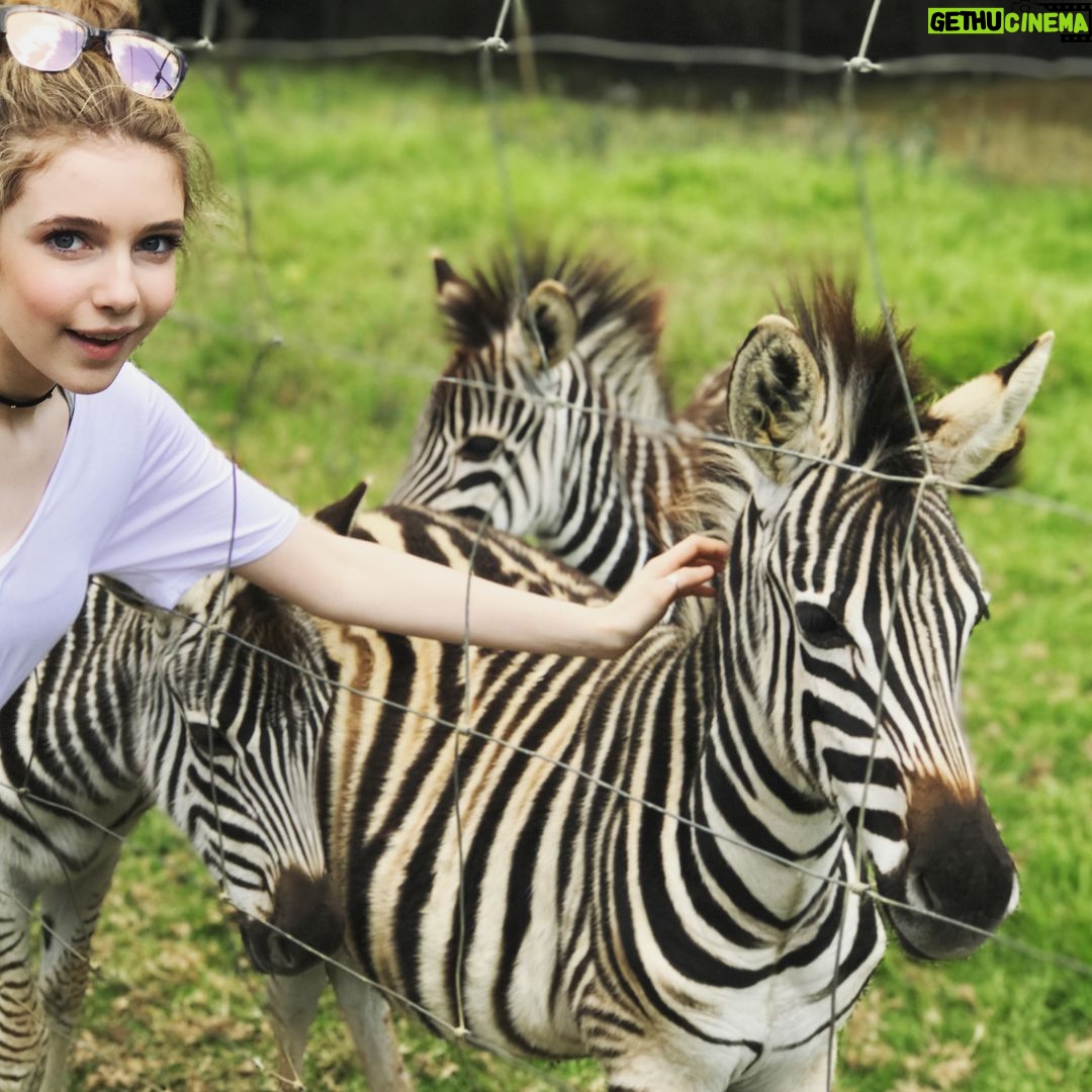 Eleanor Worthington-Cox Instagram - What an amazing day!! Thank you so much to @cornellskopfarm for having us, and of course to @flavahoove who's the best photographer ever 💁🏼❣️ 🦁 Cornellskop Animal Encounters