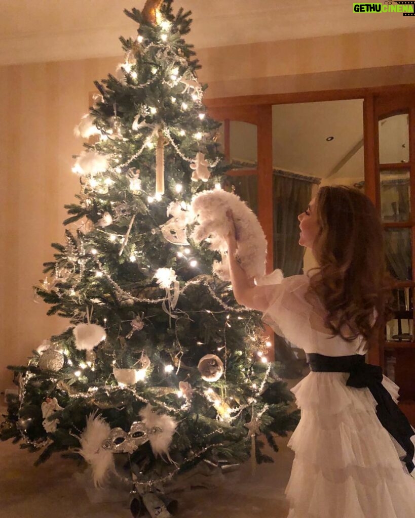 Eleanor Worthington-Cox Instagram - You know you’ve had one too many when you try to decorate the tree with the dog... merry christmas :) ❤️