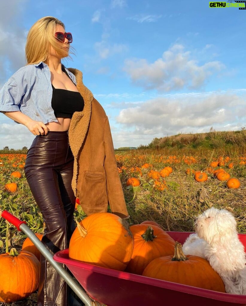 Eleanor Worthington-Cox Instagram - here’s my annual basic pumpkin post :)) #boburnhamsaiditbest #awhitewomansinstagram The Pumpkin Patch Hightown