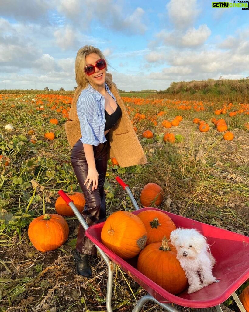 Eleanor Worthington-Cox Instagram - here’s my annual basic pumpkin post :)) #boburnhamsaiditbest #awhitewomansinstagram The Pumpkin Patch Hightown
