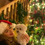 Eleanor Worthington-Cox Instagram – #natural unposed pics and a bad Christmas jumper (but very good dog) aside, I’m sending all my love to those of you who need it most. Merry Christmas, Happy Holidays, stay safe and well my loves❤️
#merrychristmas #happyholidays #is2020overyet #passmethewine #yesthewholebottle #ps #doyoulikemysprouts x