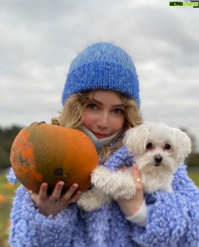 Eleanor Worthington-Cox Instagram - I’m currently filming in muddy fields and forests 24/7, so it made total sense to spend my day off in a muddy field... by a forest... right ? #wearadamnmask #wearcoolboots #trippedoverapumpkin #eventhedoglaughed The Pumpkin Patch Hightown