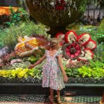 Eleonora Albrecht Instagram - Qualche altro momento in Las Vegas 🇺🇸✨🌵🗼🏔️ le fontane di Bellagio alla fine e il percorso di fiori veri dentro l’hotel 🥰 #travelusa #travel #usa #travelphotography #travelgram #usatravel #america #roadtrip #bikini #unitedstates #phoenix #arizona #visitusa #travelblogger #roadtripusa #traveltheworld #nature #traveladdict #oara #photooftheday #exploreusa #california #instatravel #adventure #visittheusa #vacation #usatrip #lasvegas #travelmore #explore Bellagio Hotel And Casino, Las Vegas, Nevada, Usa