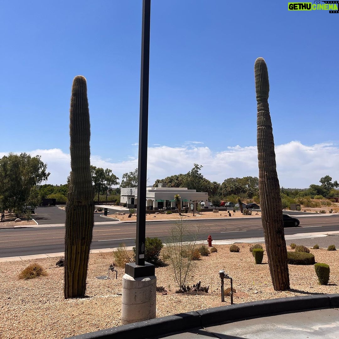 Eleonora Albrecht Instagram - Exploring Arizona 🌵 #travelusa #travel #usa #travelphotography #travelgram #usatravel #america #roadtrip #bikini #unitedstates #phoenix #arizona #visitusa #travelblogger #roadtripusa #traveltheworld #nature #traveladdict #oara #photooftheday #exploreusa #california #instatravel #adventure #visittheusa #vacation #usatrip #newyork #travelmore #explore Wickenburg, Arizona