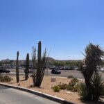 Eleonora Albrecht Instagram - Exploring Arizona 🌵 #travelusa #travel #usa #travelphotography #travelgram #usatravel #america #roadtrip #bikini #unitedstates #phoenix #arizona #visitusa #travelblogger #roadtripusa #traveltheworld #nature #traveladdict #oara #photooftheday #exploreusa #california #instatravel #adventure #visittheusa #vacation #usatrip #newyork #travelmore #explore Wickenburg, Arizona