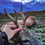 Eliška Štefanicová Instagram - Old fighter 🌿 #sellierbellot#sellierbellotfamily#sellierbellotammunition#ammunition#308win#shooting#feelsright#huntingexperience#hunt#hunting#huntinglife#huntingtrophy#huntingphoto#hunterslife#huntingseason#lovehunting#roebuckseason#roebuckhunting#roebuck#roedeerseason#roedeerhunting#roedeer#hunter#hunters#huntress#gamemanagement#oxota#chasse#polovanie#trophy