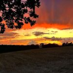 Eliška Štefanicová Instagram - I love it 🥰 #sunset#sun#sky#sunsets#sunset_pics#sunsetlovers#sunsetphotography#magicsky#skylovers#skyphotography#skycolors#nature#naturecolors#naturephotography#naturelovers#hunt#hunting#roedeer#roedeerrut#roedeerhunting#roebuck#wild#wildlife#wildlifephotography#love#life#freedom#forest