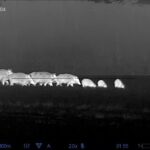 Eliška Štefanicová Instagram - Vteřiny do vybití baterie 😱🙈😂 #pulsarthermion2xp50 #binox#pulsar#nighthunting#night#nighthunt#nighthunters#nighthunter#nighthuntress#hunt#hunting#wildboars#wildboarhunting#wildboar#308win#hunters#huntinglife#huntingwomen#huntinggirl#huntress#hunter#czechhunter#lovehunting#huntingexperience#huntingvideo#huntingseason#gamemanagement#myslivost#chasse#waidmannsheil