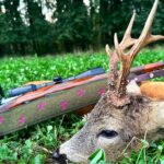 Eliška Štefanicová Instagram - Best hunting 🍀 #sellierbellot#308win#bohemialov#waidmannsheil#kahlesoptics#hunt#hunting#huntinggirl#huntingwomen#outdoor#outdoorwomen#outdoorgirl#hunters#hunter#czechhunter#huntress#girlwhoshoot#girlhunttoo#girlwhohunt#girlpower#huntingphoto#huntinglife#lovehunting#huntingtrophy#huntinggear#huntingseason#gamemanagement#franchifeelsrigh#roedeerhunting#roedeer