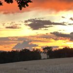 Eliška Štefanicová Instagram - I love it 🥰 #sunset#sun#sky#sunsets#sunset_pics#sunsetlovers#sunsetphotography#magicsky#skylovers#skyphotography#skycolors#nature#naturecolors#naturephotography#naturelovers#hunt#hunting#roedeer#roedeerrut#roedeerhunting#roebuck#wild#wildlife#wildlifephotography#love#life#freedom#forest