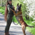 Eliška Štefanicová Instagram - My big boy 🐶🫶 #diottoboots#termovel#dog#belgianmalinois#nature#beauty#smile#hair#girl#girls#czechgirl#dogsofinstagram#clothes#outdoor#outdoorlife#outdoors#outdoorphotography#outdoorwomen#outdoorgirl#outfit#sport#hunt#hunting#gamemanagement#myslivost#chasse#naturelover#wild#wildlife