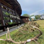 Eliška Štefanicová Instagram - Armáda, lesnictví a myslivost na Libavé 🦌 #libava#vls#hunt#hunting#trophy#army#forestry#gamemanagement#myslivost#huntinglife#huntingfriends#huntingwomen#huntinggirl#hunter#huntress#hunters#huntingtrophy#huntingphoto#girlwhoshoot#girlhunttoo#girlwhohunt#girlpower#lovehunting#huntinggear#huntingseason#deer#reddeerhunting#roedeer#antlers#wild Potstat
