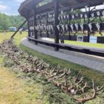 Eliška Štefanicová Instagram - Armáda, lesnictví a myslivost na Libavé 🦌 #libava#vls#hunt#hunting#trophy#army#forestry#gamemanagement#myslivost#huntinglife#huntingfriends#huntingwomen#huntinggirl#hunter#huntress#hunters#huntingtrophy#huntingphoto#girlwhoshoot#girlhunttoo#girlwhohunt#girlpower#lovehunting#huntinggear#huntingseason#deer#reddeerhunting#roedeer#antlers#wild Potstat