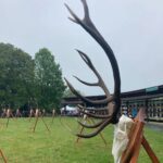 Eliška Štefanicová Instagram - Armáda, lesnictví a myslivost na Libavé 🦌 #libava#vls#hunt#hunting#trophy#army#forestry#gamemanagement#myslivost#huntinglife#huntingfriends#huntingwomen#huntinggirl#hunter#huntress#hunters#huntingtrophy#huntingphoto#girlwhoshoot#girlhunttoo#girlwhohunt#girlpower#lovehunting#huntinggear#huntingseason#deer#reddeerhunting#roedeer#antlers#wild Potstat