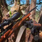 Eliška Štefanicová Instagram - Abnormal roedeer 😍🌿 #sellierbellot#sellierbellotfamily#sellierbellotammunition#ammunition#308win#shooting#feelsright#huntingexperience#hunt#hunting#huntinglife#huntingtrophy#huntingphoto#hunterslife#huntingseason#lovehunting#roebuckseason#roebuckhunting#roebuck#roedeerseason#roedeerhunting#roedeer#hunter#hunters#huntress#gamemanagement#oxota#chasse#polovanie#trophy