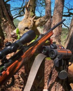 Eliška Štefanicová Instagram - Abnormal roedeer 😍🌿 #sellierbellot#sellierbellotfamily#sellierbellotammunition#ammunition#308win#shooting#feelsright#huntingexperience#hunt#hunting#huntinglife#huntingtrophy#huntingphoto#hunterslife#huntingseason#lovehunting#roebuckseason#roebuckhunting#roebuck#roedeerseason#roedeerhunting#roedeer#hunter#hunters#huntress#gamemanagement#oxota#chasse#polovanie#trophy