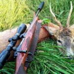Eliška Štefanicová Instagram - 🦌🌿 #sellierbellot#308win#bohemialov#waidmannsheil#kahlesoptics#hunt#hunting#huntinggirl#huntingwomen#outdoor#outdoorwomen#outdoorgirl#hunters#hunter#czechhunter#huntress#girlwhoshoot#girlhunttoo#girlwhohunt#girlpower#huntingphoto#huntinglife#lovehunting#huntingtrophy#huntinggear#huntingseason#gamemanagement#franchifeelsrigh#roedeerhunting#roedeer
