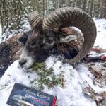 Eliška Štefanicová Instagram - Amazing winter hunting ❄️🌿 #mouflon#moufflon#moufflons#moufflonhunting#hunt#hunting#sellierandbellot#feelsright#muflon#mufloni#muflone#deerhuntress#hunt#hunting#huntingseason#hunter#hunters#huntress#polovanie#huntinglife#huntinggirl#huntinggear#huntingwomen#huntinggirls#jakt#jagt#oxota#waidmannsheil#gamemanagement#wild#wildlife
