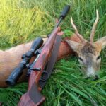 Eliška Štefanicová Instagram - 🦌🌿 #sellierbellot#308win#bohemialov#waidmannsheil#kahlesoptics#hunt#hunting#huntinggirl#huntingwomen#outdoor#outdoorwomen#outdoorgirl#hunters#hunter#czechhunter#huntress#girlwhoshoot#girlhunttoo#girlwhohunt#girlpower#huntingphoto#huntinglife#lovehunting#huntingtrophy#huntinggear#huntingseason#gamemanagement#franchifeelsrigh#roedeerhunting#roedeer