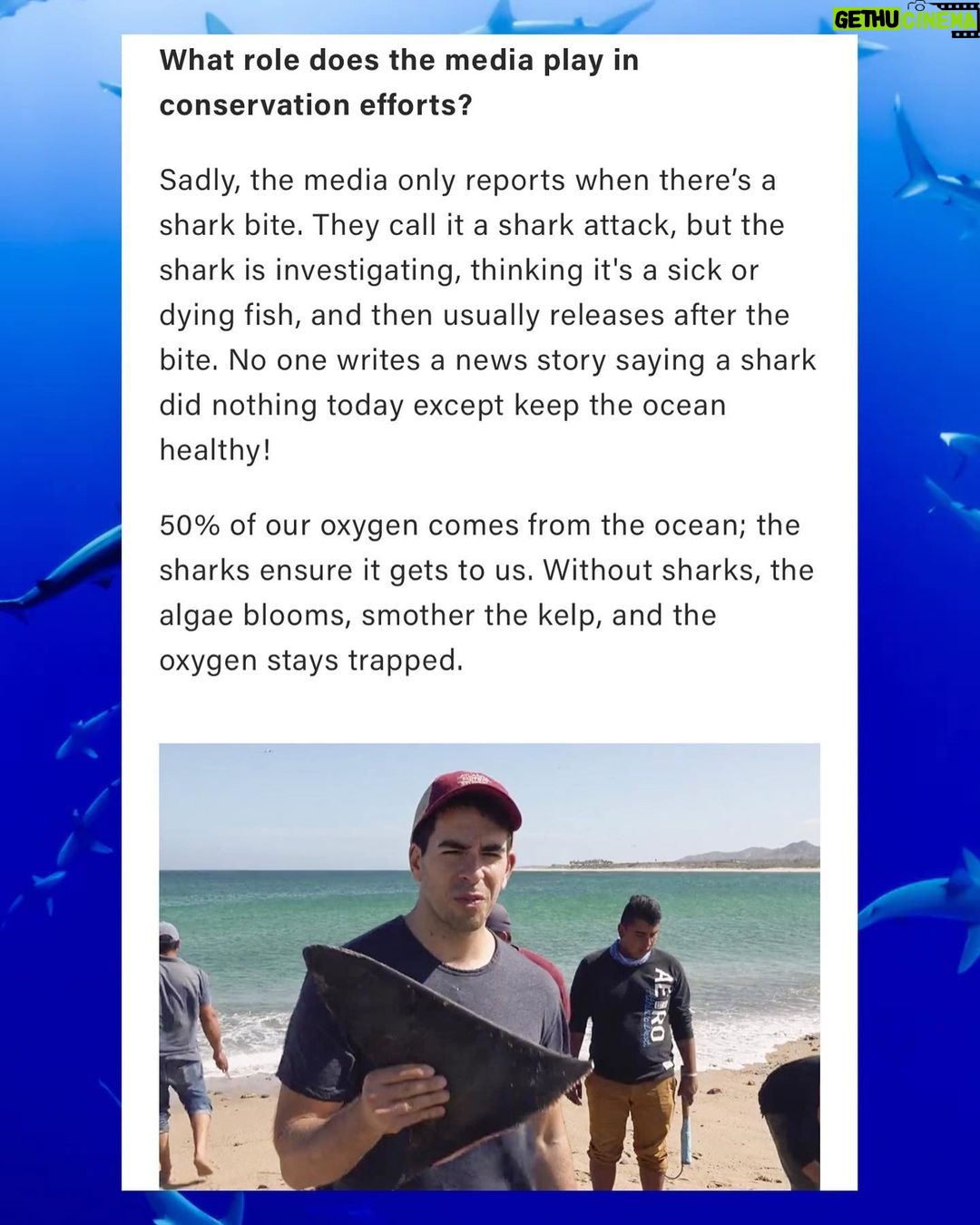 Eli Roth Instagram - Did you know that humans kill an estimated 30,000 sharks an hour? What's so ludicrous about this is that sharks keep our ocean healthy and balanced, and there's no benefit to their slaughter. In an EMA exclusive interview, we spoke with EMA Board Member @realeliroth about shark hunting tournaments, why sharks keep our oceans healthy, and how anyone can use their voice to support sharks. Please read the full interview at the link in our bio!