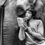 Elif Şafak Instagram – Keep reading… books are out home, stories are what we are all made of, and Storyland is our motherland… I love books and I love elephants, so I couldn’t resist sharing this lovely photo by @waterstones #elephantsworld #saveelephants #bookloversworld #bookishlove #waterstones #thearchitectsapprentice #booksandnature 📚📚📚 kitaplar bize yuva, kitaplar yurt…  memleketin, bazen de hikayeler diyarı, Kaf dağının ardında… #kitaptavsiyeleri #ustamveben #kitapsevdası #kitapkulübü #kitaplarsevdamız #kitapaşkına #kitapsızasla