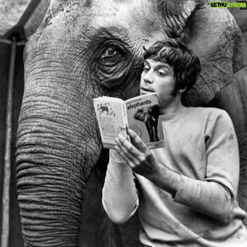Elif Şafak Instagram - Keep reading… books are out home, stories are what we are all made of, and Storyland is our motherland… I love books and I love elephants, so I couldn’t resist sharing this lovely photo by @waterstones #elephantsworld #saveelephants #bookloversworld #bookishlove #waterstones #thearchitectsapprentice #booksandnature 📚📚📚 kitaplar bize yuva, kitaplar yurt… memleketin, bazen de hikayeler diyarı, Kaf dağının ardında… #kitaptavsiyeleri #ustamveben #kitapsevdası #kitapkulübü #kitaplarsevdamız #kitapaşkına #kitapsızasla