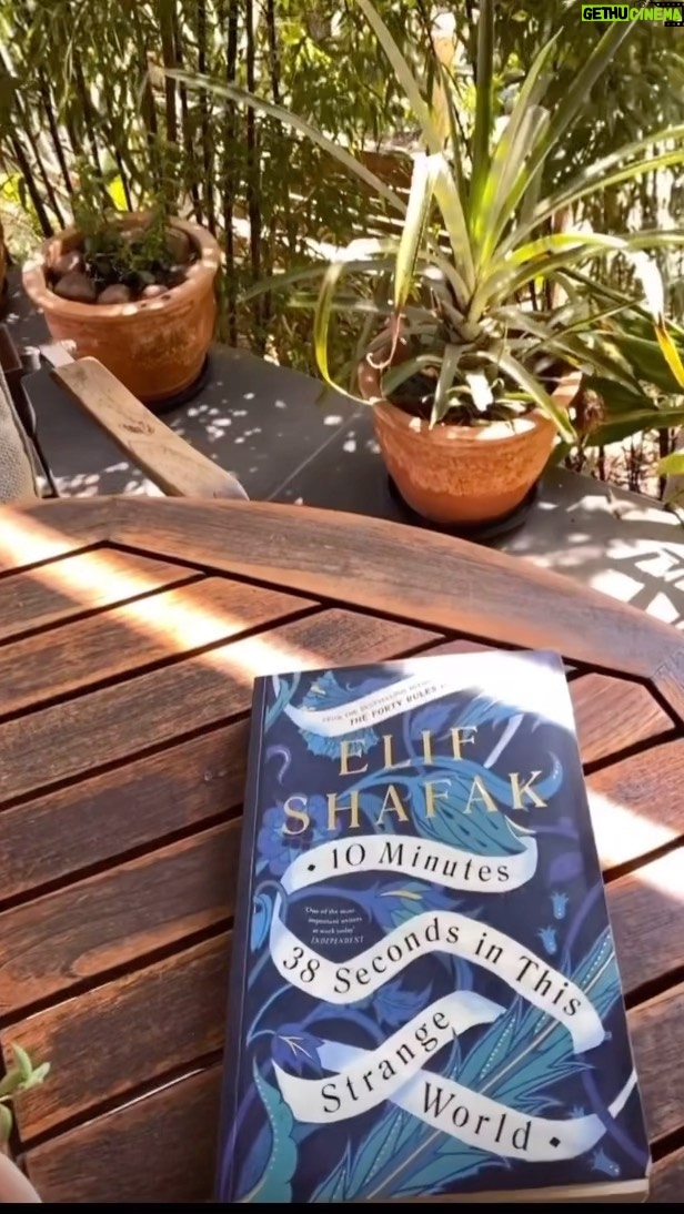 Elif Şafak Instagram - Can you taste rosewater and baklava, asks @cristina.gabriela.b thank you so much for this video #bookssansborders #istanbulcity #istanbullove #booksaremagic #bookstagrammersunite #womenwriters #worldliterature #literaryjournal #literaryfiction #elifshafak #bookishgifts #10minutes38secondsinthisstrangeworld #readreadread #bookstakeyouplaces 📚📚📚 İstanbul’un seslerini duyabilir misin bir romanın sayfalarında? Bir okurum paylaşmış, teşekkür ederim çok #kitapvideoları #kitapseverler #ondakikaotuzsekizsaniye #kitapseverlerkulübü #okuoku #birkitapbirfotograf