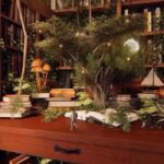 Elif Şafak Instagram – Books and plants… this is a bit like my writing desk, except mine is more chaotic and less romantic. The crucial thing is to have “a room of one’s own”, and if you cannot have that, a table or a desk or a corner of one’s own. This beautiful video by @rank.sss 📚📚📚 kitaplar ve bitkiler…. yazı masam buna benziyor ama tabi benimki karman çorman ve çok daha az romantik…. Kendine ait bir oda, yoksa eğer, kendine ait bir masa