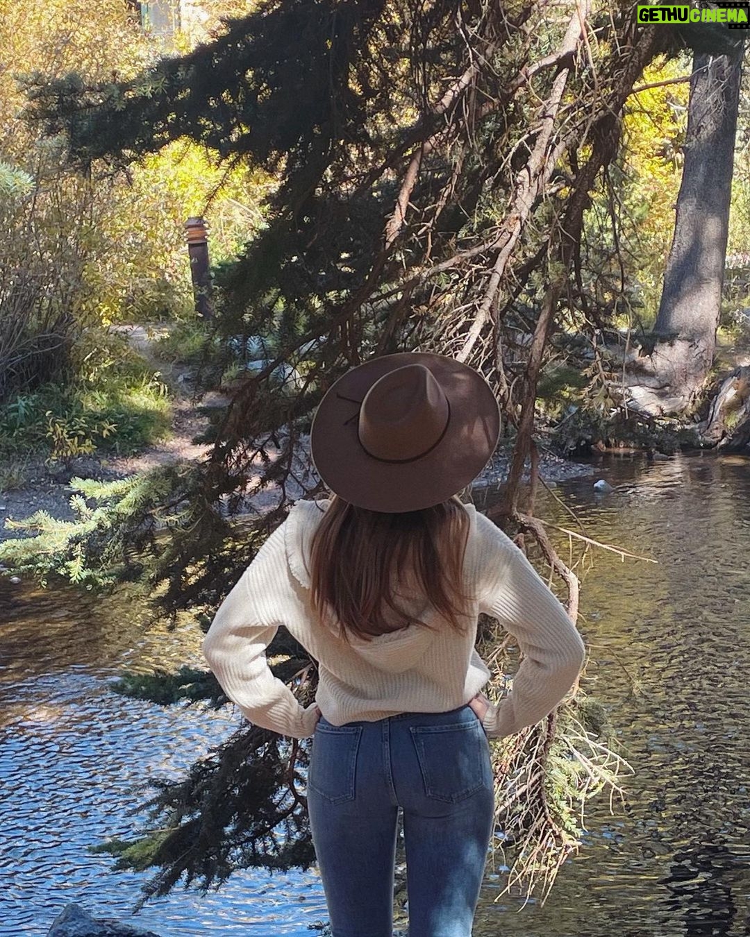 Elizabeth Gillies Instagram - A little non-Fallon Content 🌲