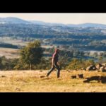 Ella Hooper Instagram - My Dad, Jeremy Neil Hooper. Man of letters, music and bushwalking. All passions I carry in me. I don’t do as much bushwalking as I would like to, but I’ve made a life out of the other two. Very much because of him and his reverence for it. Love ya Dad. Hope you’re writing, listening and wandering free.. January is a doozie for me, in terms of loss, and love, and change. If I’m a little quiet, it’s likely due to this time of recent remembrance. Most of my brain / heart goes towards processing how to hold it, and how to move through it. I’ll write about it one day. Of course. But it’s quite a silent “..Okay, what just happened.. really? Oh. it’s real?.. Oh..” kind of feeling mostly still. I’ll be playing his favourite tunes today and maybe even try to learn one. It feels like a very real way to connect still, through the music we both loved. We had the same taste (or I just copied his..) and I’m so astounded I got him to contribute to the last record, on his old recorder. It moves me beyond captions, that we finally collaborated, family band style on a song about blissing out in the hills of home, another shared deep well of resonance. A place where we both found and find much peace n solace for our similarly overanalytical minds.. #family #tree #branches #love #loss #myfather