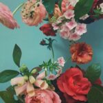Ella Lee Instagram – Roses are red, 
Violets are blue. 
I’m bad at gardening 
And even worse at poetry. Yeah. 
.
.
.
.
.
.
.
#pastelaesthetic #pastelflowers #flowerphotography #pinterest #rosesareredvioletsareblue