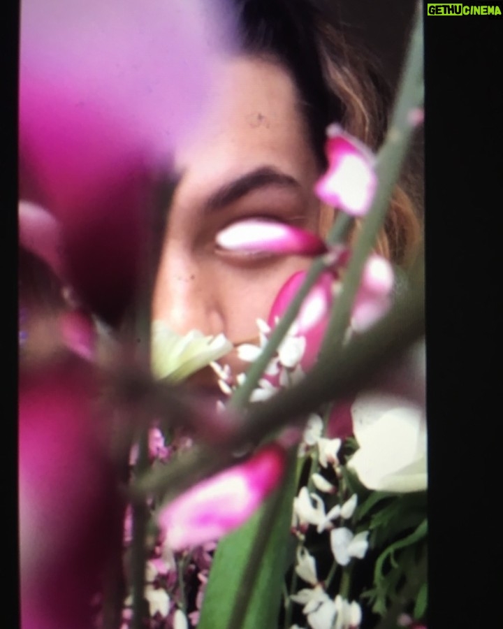 Ella Rumpf Instagram - Flowers🌸always flowers