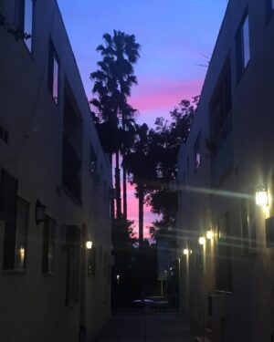 Ella Rumpf Instagram - 🎶Psychemagic presents magic sunset 🌅