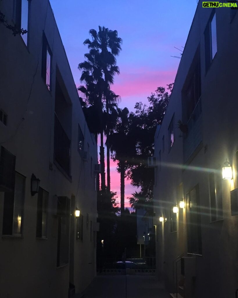 Ella Rumpf Instagram - 🎶Psychemagic presents magic sunset 🌅