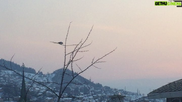 Ella Rumpf Instagram - It feels like birds here in Sarajevo are guarding the beautiful Soul and People of this town