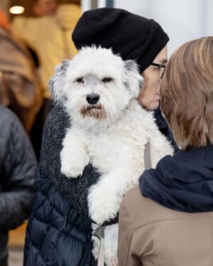 Ellen Hillingsø Instagram - Tak til alle, der kom forbi vores hundereception i dag 🐕🐾
Forlaget blev i dag fyldt med hunde i anledningen af udgivelsen af Hella Joof og Ellen Hillingsøs nye bog HUNDENS BOG. 
Hundene stillede op til billeder på den røde løber, hang ud i hundebaren og hyggede med de andre gæster.

#hund #hunde #hellajoof #ellenhillingsø #doglover #dog