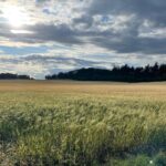 Ellen Hillingsø Instagram – Sommer i Danmark 🌦️