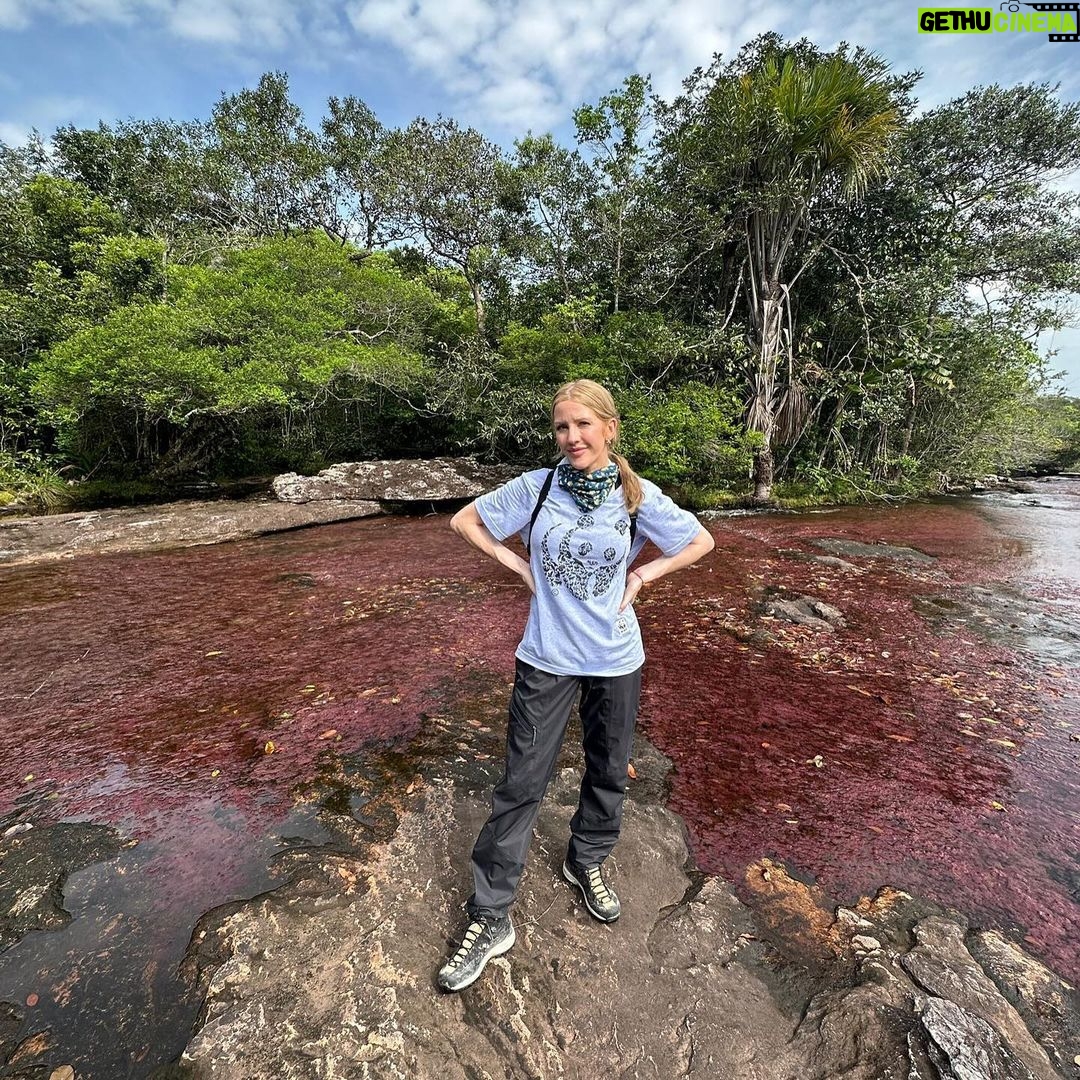 Ellie Goulding Instagram - A few weeks ago I visited the Amazon rainforest in Colombia with @wwf_uk to experience firsthand why forests are so crucial for nature, for people and for climate. And it was more beautiful than I ever could have imagined. But every day incredible forests like the Amazon, and the species that rely on them, are under threat. Like the jaguar – whose corridors we followed through the rainforest. And the river dolphins who played beside my boat on the laguna. Just a few days after my trip, at least 125 river dolphins died in the Brazilian Amazon because of a devasting drought that is developing across the region. Forests habitats, nature and people are experiencing the catastrophic effects of climate change RIGHT NOW. On my journey, I had the privilege of meeting inspirational local community members who are protecting the Amazon. They are forming forest brigades, farming more sustainably and leading wildlife monitoring projects for endangered species such as jaguars and river dolphins. We will not reach our global goals on deforestation without local and Indigenous people like this. Despite numerous pledges and declarations to protect our forests by our world leaders and decision makers - deforestation rates are not coming down fast enough. Our forests are heading for a future in which they are emptied of wildlife, damaged by climate change and increasingly pressured by wildfires, development and unsustainable food systems. We have just seven years to meet the global goals of halting and reversing deforestation. And we all have a part to play. You, me, all of us. There's no time to waste. Let’s turn promises into action NOW. #ForestPathwaysReport #Forests #ForOurWorld