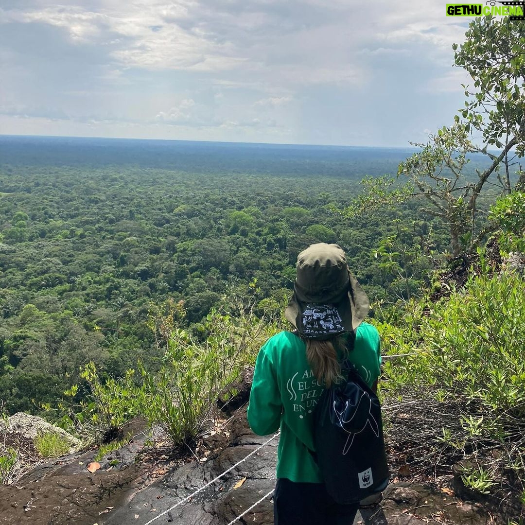 Ellie Goulding Instagram - A few weeks ago I visited the Amazon rainforest in Colombia with @wwf_uk to experience firsthand why forests are so crucial for nature, for people and for climate. And it was more beautiful than I ever could have imagined. But every day incredible forests like the Amazon, and the species that rely on them, are under threat. Like the jaguar – whose corridors we followed through the rainforest. And the river dolphins who played beside my boat on the laguna. Just a few days after my trip, at least 125 river dolphins died in the Brazilian Amazon because of a devasting drought that is developing across the region. Forests habitats, nature and people are experiencing the catastrophic effects of climate change RIGHT NOW. On my journey, I had the privilege of meeting inspirational local community members who are protecting the Amazon. They are forming forest brigades, farming more sustainably and leading wildlife monitoring projects for endangered species such as jaguars and river dolphins. We will not reach our global goals on deforestation without local and Indigenous people like this. Despite numerous pledges and declarations to protect our forests by our world leaders and decision makers - deforestation rates are not coming down fast enough. Our forests are heading for a future in which they are emptied of wildlife, damaged by climate change and increasingly pressured by wildfires, development and unsustainable food systems. We have just seven years to meet the global goals of halting and reversing deforestation. And we all have a part to play. You, me, all of us. There's no time to waste. Let’s turn promises into action NOW. #ForestPathwaysReport #Forests #ForOurWorld
