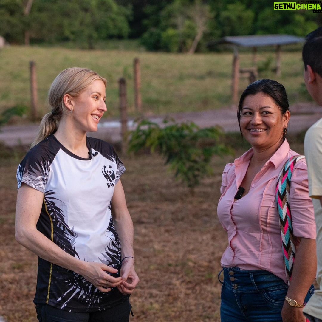 Ellie Goulding Instagram - A few weeks ago I visited the Amazon rainforest in Colombia with @wwf_uk to experience firsthand why forests are so crucial for nature, for people and for climate. And it was more beautiful than I ever could have imagined. But every day incredible forests like the Amazon, and the species that rely on them, are under threat. Like the jaguar – whose corridors we followed through the rainforest. And the river dolphins who played beside my boat on the laguna. Just a few days after my trip, at least 125 river dolphins died in the Brazilian Amazon because of a devasting drought that is developing across the region. Forests habitats, nature and people are experiencing the catastrophic effects of climate change RIGHT NOW. On my journey, I had the privilege of meeting inspirational local community members who are protecting the Amazon. They are forming forest brigades, farming more sustainably and leading wildlife monitoring projects for endangered species such as jaguars and river dolphins. We will not reach our global goals on deforestation without local and Indigenous people like this. Despite numerous pledges and declarations to protect our forests by our world leaders and decision makers - deforestation rates are not coming down fast enough. Our forests are heading for a future in which they are emptied of wildlife, damaged by climate change and increasingly pressured by wildfires, development and unsustainable food systems. We have just seven years to meet the global goals of halting and reversing deforestation. And we all have a part to play. You, me, all of us. There's no time to waste. Let’s turn promises into action NOW. #ForestPathwaysReport #Forests #ForOurWorld