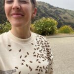 Ellie Goulding Instagram - A day late but Happy World Bee Day 🐝 Saving bees isn’t just a random interest 🫤Humanity literally depends on them!!! 3 out of 4 crops around the world producing fruit and seeds for human use depend on bees. We do not protect them enough which is beyond foolish…. They are declining at a rapid rate (climate change/ pesticides/ habitat loss) Pollination is a fundamental process for the survival of our ecosystems. We must solve problems related to the global food supply (as it happens we have also completely degraded most of our soil which anchors all life on earth- do watch “Kiss the Ground” narrated by Woody Harrelson if you get a chance) so we really need to look after them at all costs. Fun fact - There are over 270 bee species in Britain ranging from the well known honey bee, to bumblebees and solitary bees. I am not in fact covered in lovely bees but wearing the @pangaia Be the Change Capsule jumper. Made with 100% undyed organic cotton and treated with trademark peppermint oil (PPRMINT™) to keep it fresher for longer. Very cool. 💚