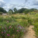 Ellie Goulding Instagram - My face legit hurt from smiling during my visit to @kneppwilding. I never dreamed you could go on safari 35 miles from London and see an ecosystem buzzing with life. But the Knepp visionaries @isabella.tree, Charlie Burrell, @Ned_byrrell96, @charlie.harpur and the whole team there were brave enough to do something different to the old way (dominating nature and destroying most of it 😳) Instead they have transformed their land, by putting the Earth first. And the results are amaaaazing and so uplifting 😍 You’ve prob heard the term rewilding a bit more recently. It isn’t just a movement, it is a way of experiencing nature exactly how it is supposed to be and FEELING as though hope is here. Nature heals. It brings me so much joy to know that across the world rewilding projects are bringing ecosystems back to life by returning key wildlife species. Once you bring key wild animals back, you supercharge the ecosystem as a carbon sink (ie suck up all the MASSES of carbon we have hanging around) So beneficial for everything and everyone… At Knepp this means storks nesting high up in historic oak trees and beavers who have made an incredible lagoon that stops flooding. These animals are our best engineers and these ecosystems are the way to stave off climate change. So If you ever feel a bit sad by the nature and climate crisis – and who doesn’t? – these are the places and these are the visionaries to turn to. You’ll find them at @kneeprewilding @globalrewildingalliance @rewildingb #rewildinghope
