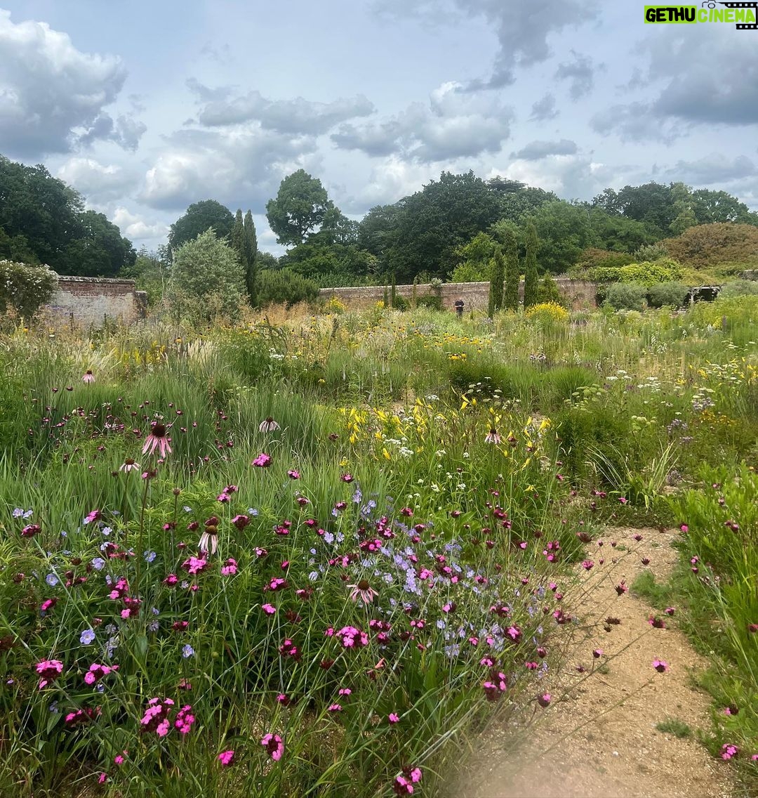 Ellie Goulding Instagram - My face legit hurt from smiling during my visit to @kneppwilding. I never dreamed you could go on safari 35 miles from London and see an ecosystem buzzing with life. But the Knepp visionaries @isabella.tree, Charlie Burrell, @Ned_byrrell96, @charlie.harpur and the whole team there were brave enough to do something different to the old way (dominating nature and destroying most of it đł) Instead they have transformed their land, by putting the Earth first. And the results are amaaaazing and so uplifting đ Youâve prob heard the term rewilding a bit more recently. It isnât just a movement, it is a way of experiencing nature exactly how it is supposed to be and FEELING as though hope is here. Nature heals. It brings me so much joy to know that across the world rewilding projects are bringing ecosystems back to life by returning key wildlife species. Once you bring key wild animals back, you supercharge the ecosystem as a carbon sink (ie suck up all the MASSES of carbon we have hanging around) So beneficial for everything and everyone⌠At Knepp this means storks nesting high up in historic oak trees and beavers who have made an incredible lagoon that stops flooding. These animals are our best engineers and these ecosystems are the way to stave off climate change. So If you ever feel a bit sad by the nature and climate crisis â and who doesnât? â these are the places and these are the visionaries to turn to. Youâll find them at @kneeprewilding @globalrewildingalliance @rewildingb #rewildinghope