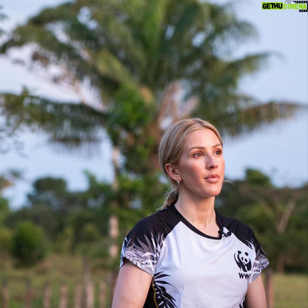 Ellie Goulding Instagram - A few weeks ago I visited the Amazon rainforest in Colombia with @wwf_uk to experience firsthand why forests are so crucial for nature, for people and for climate. And it was more beautiful than I ever could have imagined. But every day incredible forests like the Amazon, and the species that rely on them, are under threat. Like the jaguar – whose corridors we followed through the rainforest. And the river dolphins who played beside my boat on the laguna. Just a few days after my trip, at least 125 river dolphins died in the Brazilian Amazon because of a devasting drought that is developing across the region. Forests habitats, nature and people are experiencing the catastrophic effects of climate change RIGHT NOW. On my journey, I had the privilege of meeting inspirational local community members who are protecting the Amazon. They are forming forest brigades, farming more sustainably and leading wildlife monitoring projects for endangered species such as jaguars and river dolphins. We will not reach our global goals on deforestation without local and Indigenous people like this. Despite numerous pledges and declarations to protect our forests by our world leaders and decision makers - deforestation rates are not coming down fast enough. Our forests are heading for a future in which they are emptied of wildlife, damaged by climate change and increasingly pressured by wildfires, development and unsustainable food systems. We have just seven years to meet the global goals of halting and reversing deforestation. And we all have a part to play. You, me, all of us. There's no time to waste. Let’s turn promises into action NOW. #ForestPathwaysReport #Forests #ForOurWorld