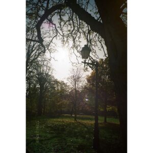 Ellie Toyota Instagram - 📸
今回の旅の相棒。
Canon Autoboy Luna35

中古で数千円だったので、
そもそもちゃんと写るのか？🤔
という不安を抱えながら現像。

結果、柔らかい質感と逆光のとらえ方がとても好き。
捨てられずに私の元まで来てくれて嬉しいよ。
#canon #autoboy #filmphotography