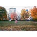 Ellie Toyota Instagram - 🎞️ ずっと前のフィルムがころんと出てきて はて、いつのかな、と現像すると 6年前に娘と松本へ行った時のものだった。 埋めたことすら忘れていたタイムカプセルみたい。 フィルムも現像代も高いけれど、 こういう不意打ちがたまにあるからやめられないんだなぁ。 写真2枚目、あの頃よくつばさちゃんの人形でリポーターごっこしてたんだ🥹 まだインスタ遡れば動画もあるはず。 These are photos of my daughter from six years ago, which I happened to come across last week when I took some old rolls of film to be developed. Although she has grown taller, the kindness and beauty of her heart haven’t changed since then💕 #filmphotography #6yearsago #daughtertookthelastone