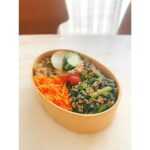 Ellie Toyota Instagram - 🥦🥕🍆🥒🫛🌽 『いつぞやは』 想像していたよりも身体を動かすので、 毎日しっかり3食お腹がすきます！笑 いや、動いてはいるけどさ、食べた分だけ消費しているのかどうか、、 は疑問。🫠 パンでもお米でも 上にいろいろのせて、 とにかく口の中に色んな味がするのが好き。 #オープンサンド #お弁当 #野菜もりもり